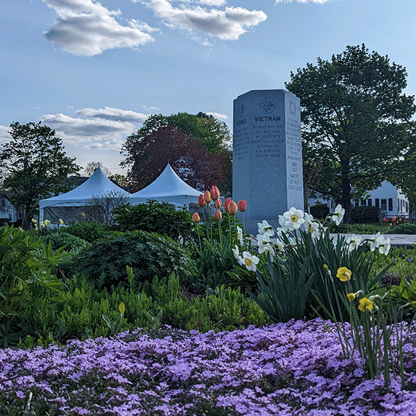 Flower in front of a Vietnam memorial in Keene, NH